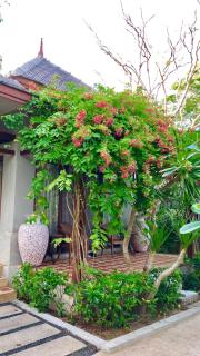 Bhumlapa Garden Resort - Bophut - 2