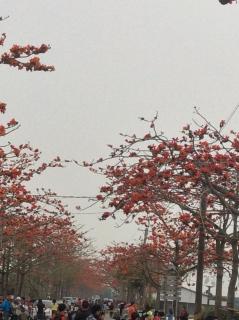 84 In Tainan - Tainan - 7