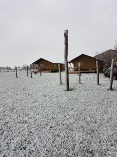 Glamping op het Zeugekot - Beveren - 6