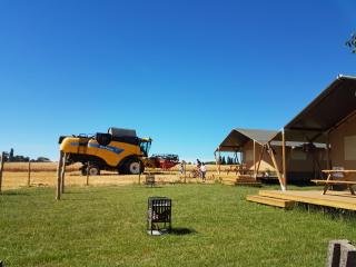 Glamping op het Zeugekot - Beveren - 4