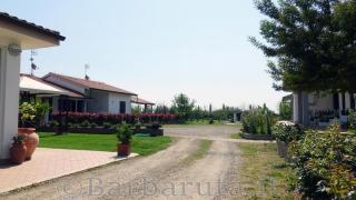 Barbaruta RTA - Grosseto - 8