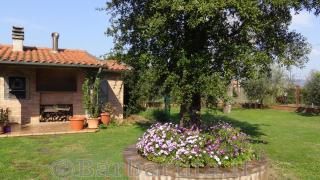 Barbaruta RTA - Grosseto - 5