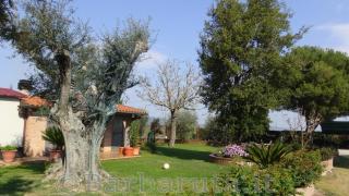 Barbaruta RTA - Grosseto - 6