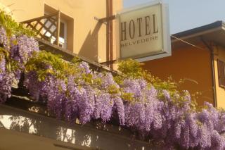Hotel Belvedere - Lovere - 5