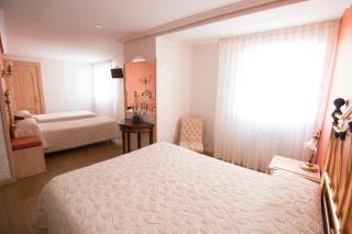 Hotel Julia - Aranda de Duero - 1