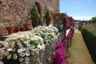 Petit CostaBravaSi - Santa Cristina d'Aro - 2