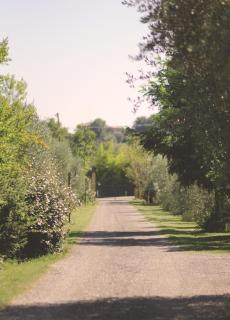Pian del Pigro - Rímini - 7