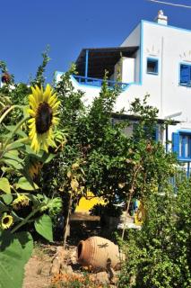 Pension Titika - Katápola - 4