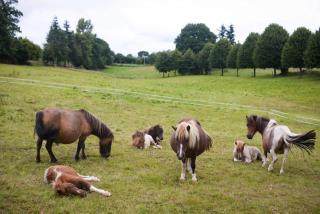 Afbeelding van de locatie