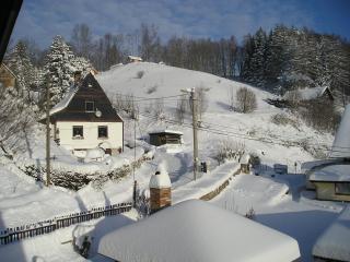 Apartman Svoboda - Svoboda nad Úpou - 1