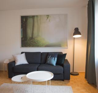 Borent Suite Apartment - 1