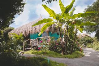 Mondi Lodge - Sint Michiel - 0