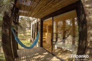 Tripanko Lodge & Bungalows - Pichilemu - 4