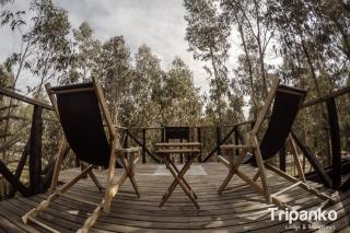 Tripanko Lodge & Bungalows - 6