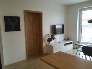 Apartmány Sport Dolní Morava - Dolní Morava - 2