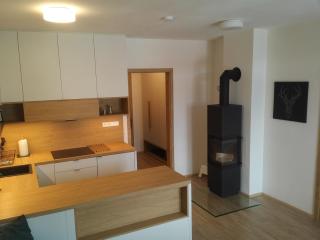 Apartmány Sport Dolní Morava - Dolní Morava - 1