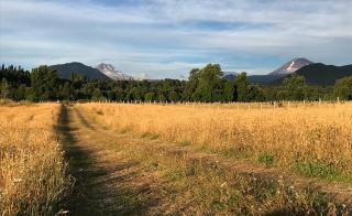 Refugio de montaña El Huape - 5