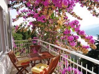 Apartment Rabac 7410d - Rabac - 1