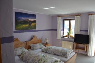 Landgasthof Wangerstuben - Oberostendorf - 7