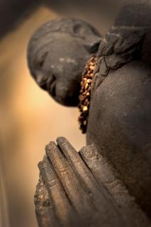 Domaine de Carrière - 1