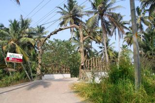 Munroe Island Lake Resort - Munroe Island - 8