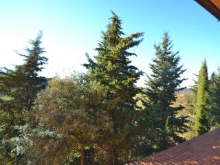 Holiday home in Montespertoli - Montespertoli - 6