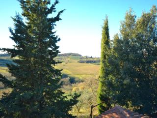 Holiday home in Montespertoli - Montespertoli - 7