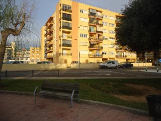 Los Labradores - 9