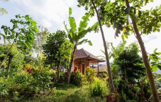 Lila Stana - Sidemen Homestay - Sidemen - 4