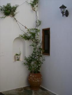 Hippocampus Studios - Città di Antiparo - 1