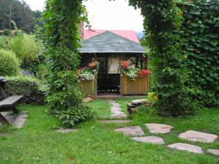 Apartman Svoboda - Svoboda nad Úpou - 7