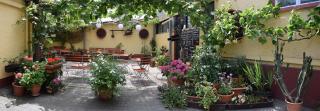 Hotel Restaurant Ruppert - Walluf - 4