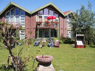 1-Zimmer-Ferienwohnung - Plau am See - 1