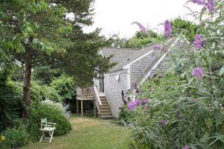 Lavender Bay - Barnstable - 8