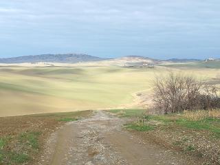 Casa Dolce Casa - Pienza - 1