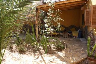 Jillyfish House, deine Oase in zwei Palmengärten, central am 'Lighthouse' - Dahab - 0