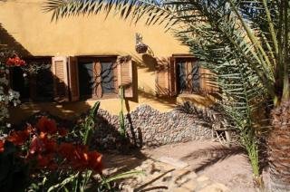 Jillyfish House, deine Oase in zwei Palmengärten, central am 'Lighthouse' - Dahab - 5