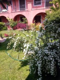 Le ginestre - Caselle Torinese - 2