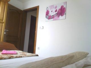 Apartman Joca Zlatibor - 1