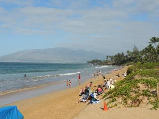 Amazing Kihei Kai Nani - Maui Vista One Bedroom Condos - 0