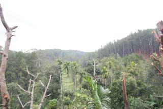 Isuru Homestay - 2