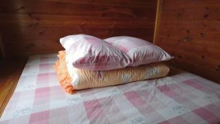 An Yun Mountain Homestay - Meishan - 2