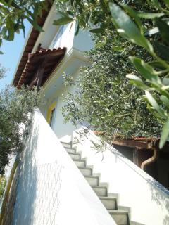 Villa Di Costa - Nea Skioni - 8