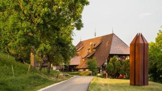 Hotel Hofgut Hohenkarpfen - Hausen ob Verena - 7