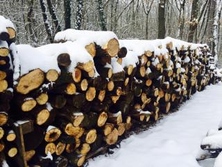 Zseri Vadászház - 8