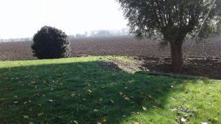 Lodela - Lo-Reninge - 4