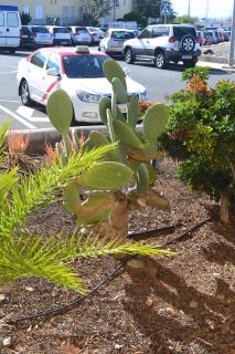 Fano's House - Habitaciones en vivienda particular - 7