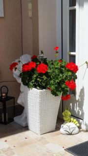 Majláth Vendégház - 4