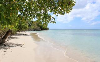 Little Paradise - Sainte-Anne - 3