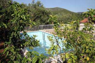 Apartment Molunat 3544a - 3